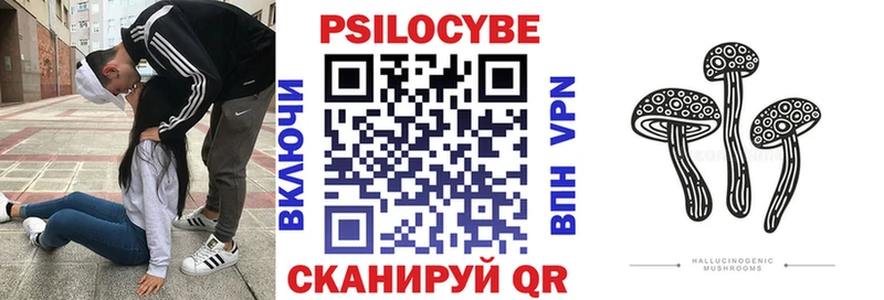 Псилоцибиновые грибы GOLDEN TEACHER  наркотики  Болхов 